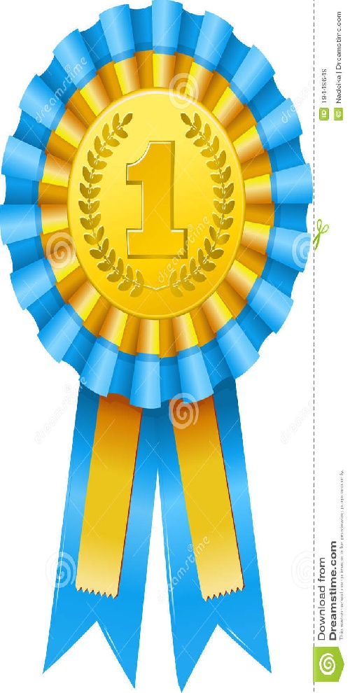 Premiazione la Materia Mancante